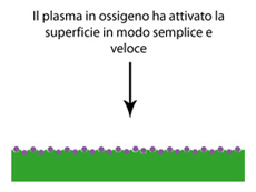 The plasma in oxygen has activated the surface in simple and fast way